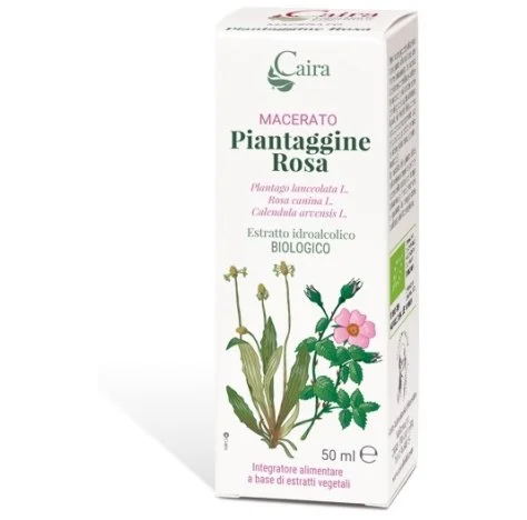 2026_06_24_2075451